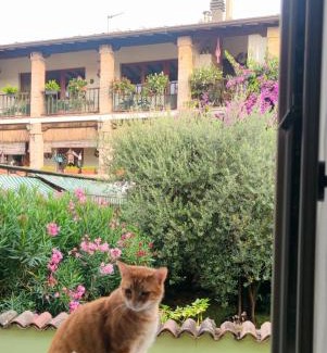 San Felice del Benaco Bed & Breakfast | Dolce Lago B&B