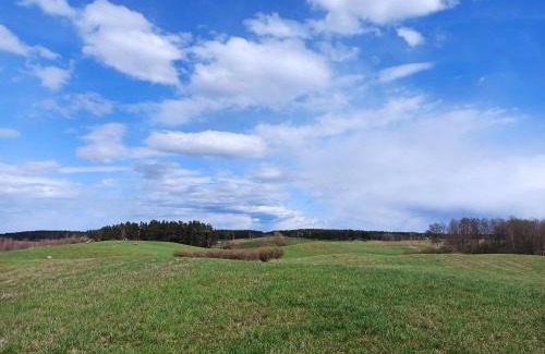 Jedwabno House | Dom na Mazurach z Widokiem Na Las