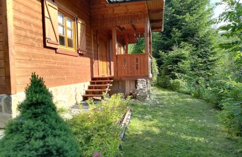 Ochotnica Dolna Ski Chalet | Dom pod Jesionami