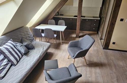 Milicz Apartment | Dom w Młodzianowie