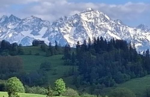 Bialy Dunajec Ski Chalet | Dom z widokiem na Wierchy - panorama na Tatry - Traditional folk house