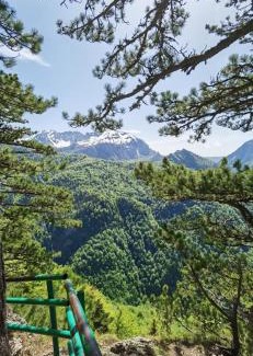 Popov Most House | Domacinstvo Paprica Tjentiste