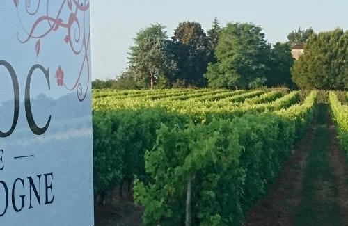 Betbezer-d'Armagnac Bed & Breakfast | Domaine de Paguy