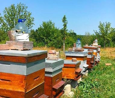 Lessard-et-le-Chene Bed & Breakfast | Domaine des Essarts