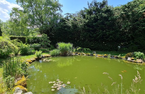 Plainfaing Resort | DOMAINE DES GRAVIERS