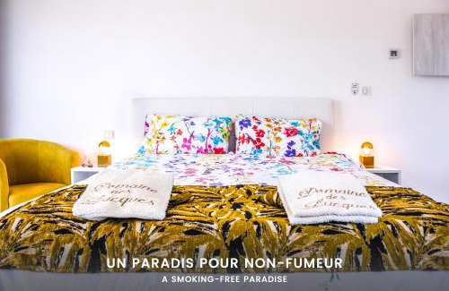 Mirepeisset Bed & Breakfast | Domaine Des Lucques B&B with Private Infinity Pool & Grand Olive Grove