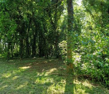 Pleneuf-Val-Andre Bed & Breakfast | Domaine du cloitre