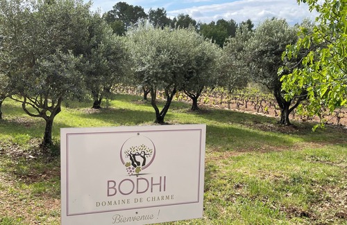 Lorgues Villa | Domaine in Provence, vinyard