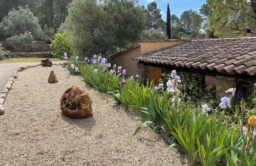 Lorgues Villa | Domaine in Provence, vinyard