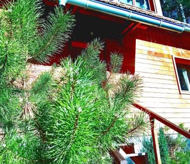 Soultzeren Ski Chalet | Domaine les lodges nature ,private wellness
