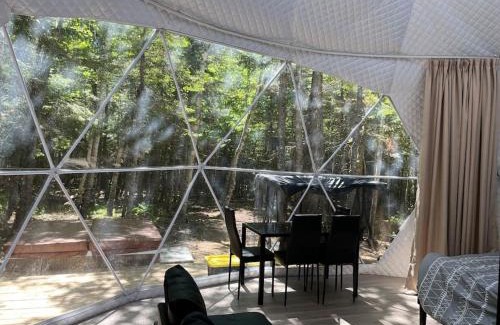 New Maryland Ski Chalet | Dome