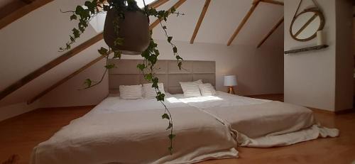 Lapalice Apartment | Domek - Apartament