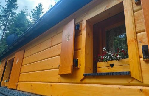 Makow Podhalanski Ski Chalet | Domek Krasnal