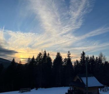 Rycerka Gorna Ski Chalet | Domek Oźna płoscyna
