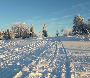 Rycerka Gorna Ski Chalet | Domek Oźna płoscyna