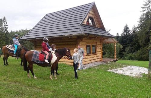 Rycerka Gorna Ski Chalet | Domek Oźna płoscyna