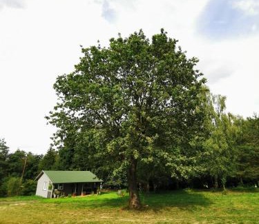 Konopiska Cabin | Domek Park Korzonek