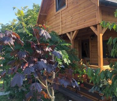 Pszczolki House | Domek pod Sumakiem