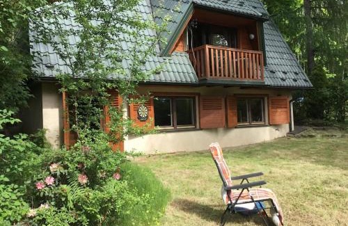 Trzemesnia Ski Chalet | Domek w Lesie