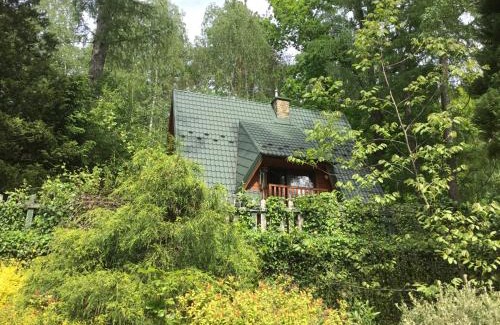 Trzemesnia Ski Chalet | Domek w Lesie
