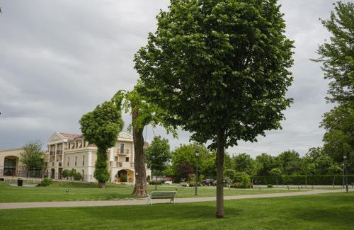 Vintu de Jos Hotel | Domeniile Martinutzi -Hotel Cardinal si Conac Rhedey