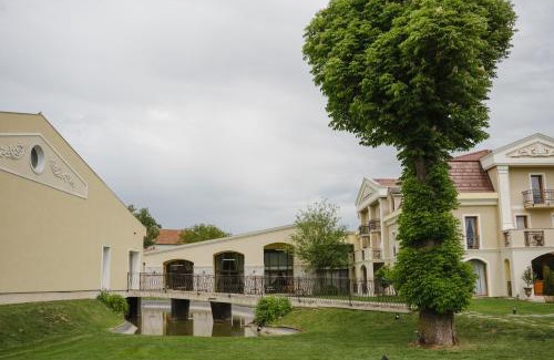 Vintu de Jos Hotel | Domeniile Martinutzi -Hotel Cardinal si Conac Rhedey