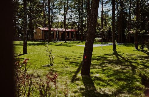 Nowe Guty Apartment | Domki Dollar -Plaża Nowe Guty
