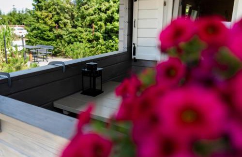 Debina House | Domki Letniskowe drewniane Szënodo na Sosnowej