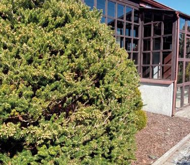 Nadole House | Domki na Stoku Nadole