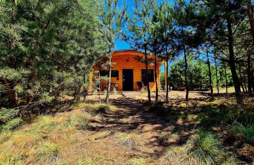 gmina Karsin House | DOMKI We MGLE - Borsk