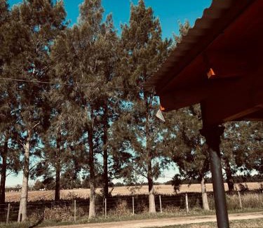 Lobos House | Don Segundo