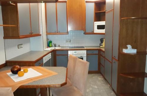 Mannswoerth Apartment | Donauauen Apartments