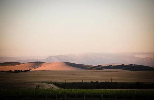 Wellington House | Doran Vineyards