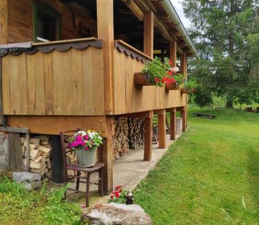 Bosiljevo House | Dorina hiža