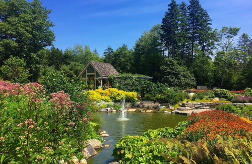 Ocean Point House | Dory Cottage Suite | Bluebird Ocean Point Inn | Dog-Friendly and with Fire Pits
