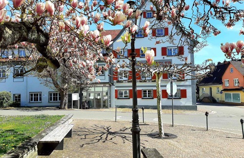 Immenstaad am Bodensee Apartment | Double room with balcony