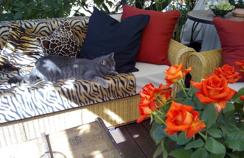 Hagnau Apartment | Double room balcony with shower and WC