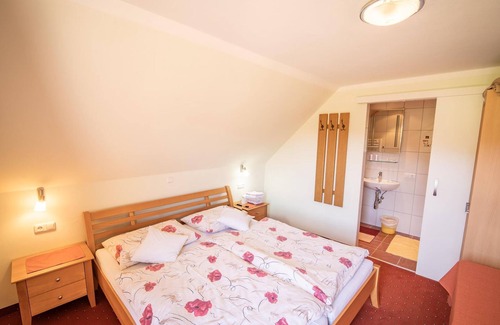 Spital am Pyhrn Cottage | Double room I with shower, WC - Gasthof Kaspar