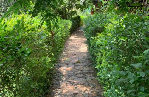 Mpigi Apartment | Double Room - Mpanga Nature Center
