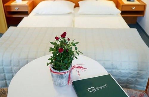 Bad Eisenkappel Cottage | Double room with balcony - Pension Besser