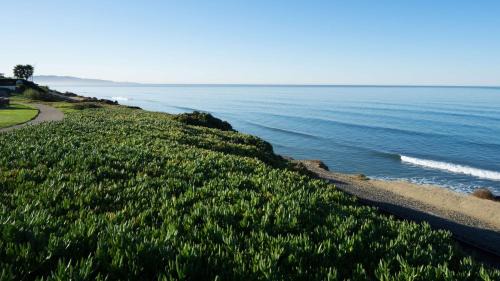 Carmel Valley Hotel | DoubleTree by Hilton San Diego Del Mar