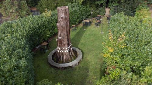Wokingham Hotel | DoubleTree by Hilton St. Anne's Manor