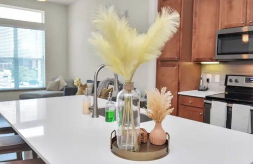 Central Business District Apartment | Downtown Houston Luxury Mid-Rise Apartment