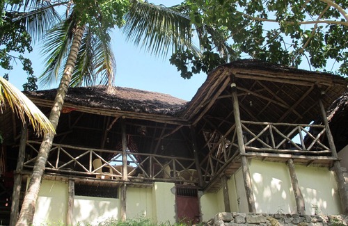 Mafia Island Bed & Breakfast | Dream,Explore,Discover mafia island home to whalesharks