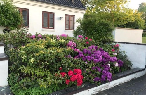 Ballerup Hostel | DreamCenter Ballerup Boulevard