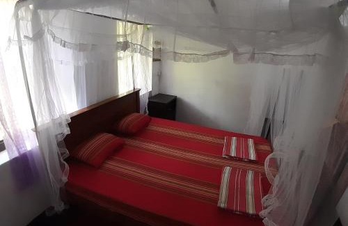 Midigama House | Dreams Garden Surf Lodge