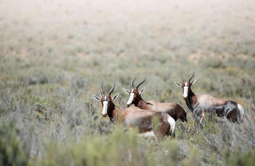 Langeberg Apartment | Drie Kuilen Nature Reserve