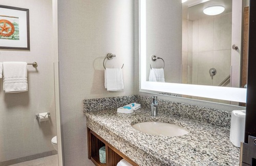 Central Arlington Hotel | Drury Plaza Hotel Dallas Arlington