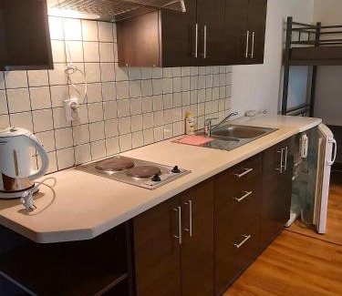 Wolsztyn Apartment | Drzewosfera