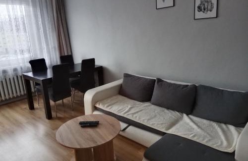 Bielawa Apartment | Duży apartament z widokiem na góry - 3 pokoje